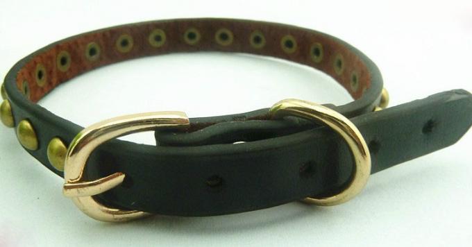 Pet leather collar 0