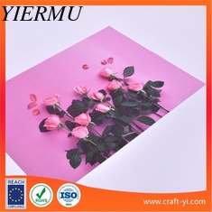 China Table Decoration with printing Textilene Place Mat 300 x450 mm Washable Table Mats , Heat Resistant PVC woven table mat supplier