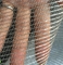 Gold and silver silk square corners of mesh cloth mesh fabric supplier